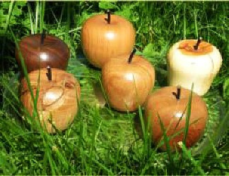 Holzäpfel Aepfel aus Holo